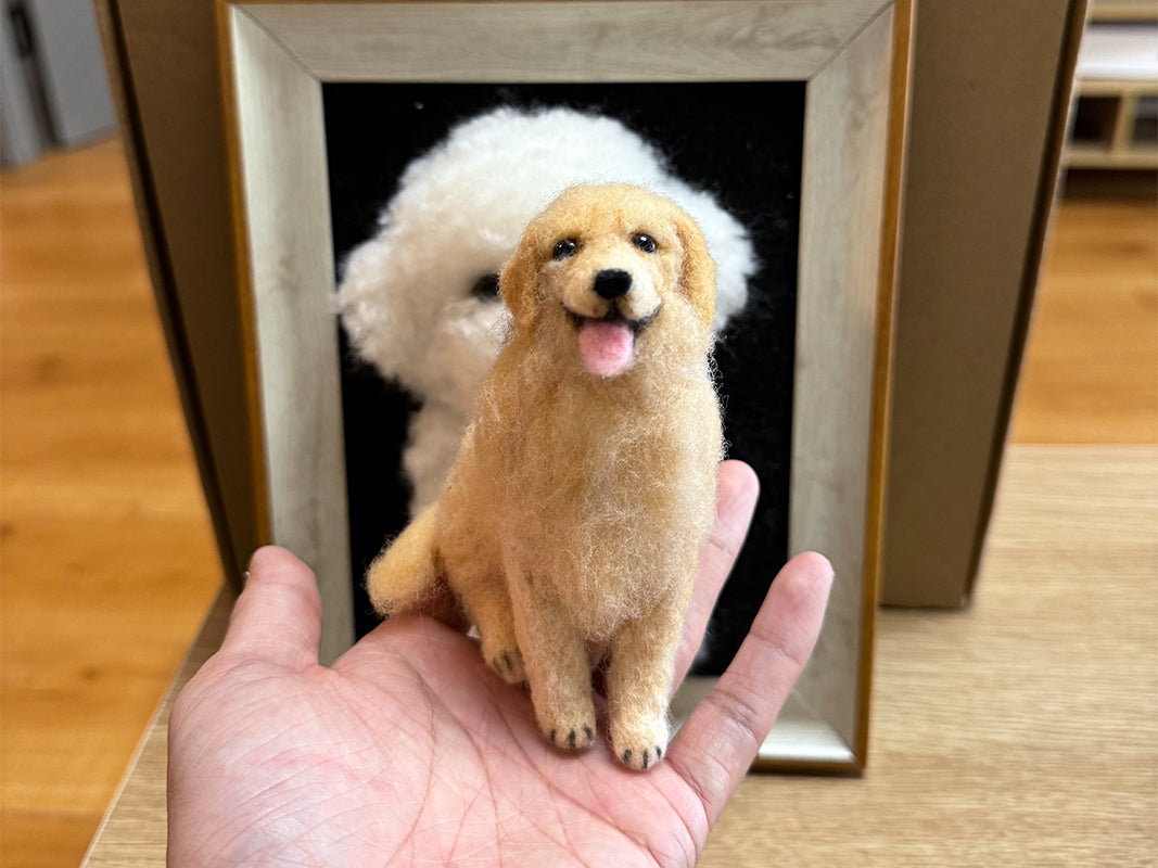 1 Customized special order placement, Custom Felt Pet Portraits, Custom Needle Felted Pets, Felt Animal Photo Frames, Pet Memorial, Animal Lovers Gift